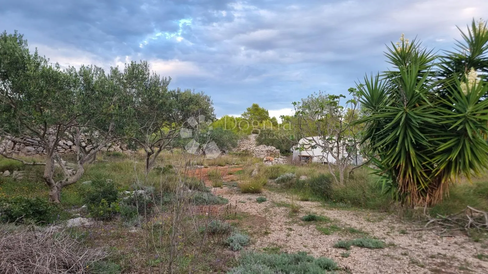 poljoprivredno zemljište 13472 m2- milna,brač - slika 3