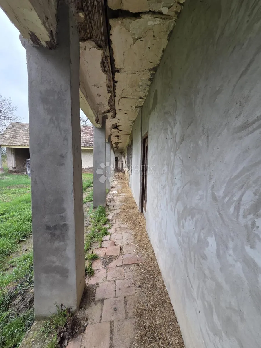kuća 325 m² + 1 ha zemlje, glavna cesta – b. manastir - slika 6