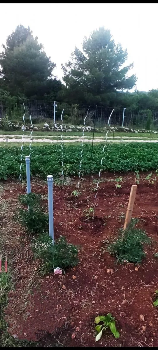 off-grid imanje s mobilnom kućicom - tribunj - slika 14