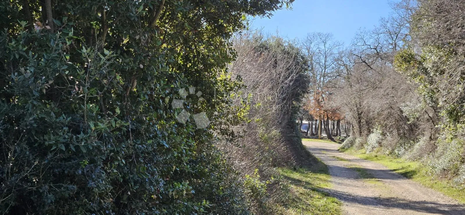 poljoprivredno zemljište 2 km od mora - slika 2