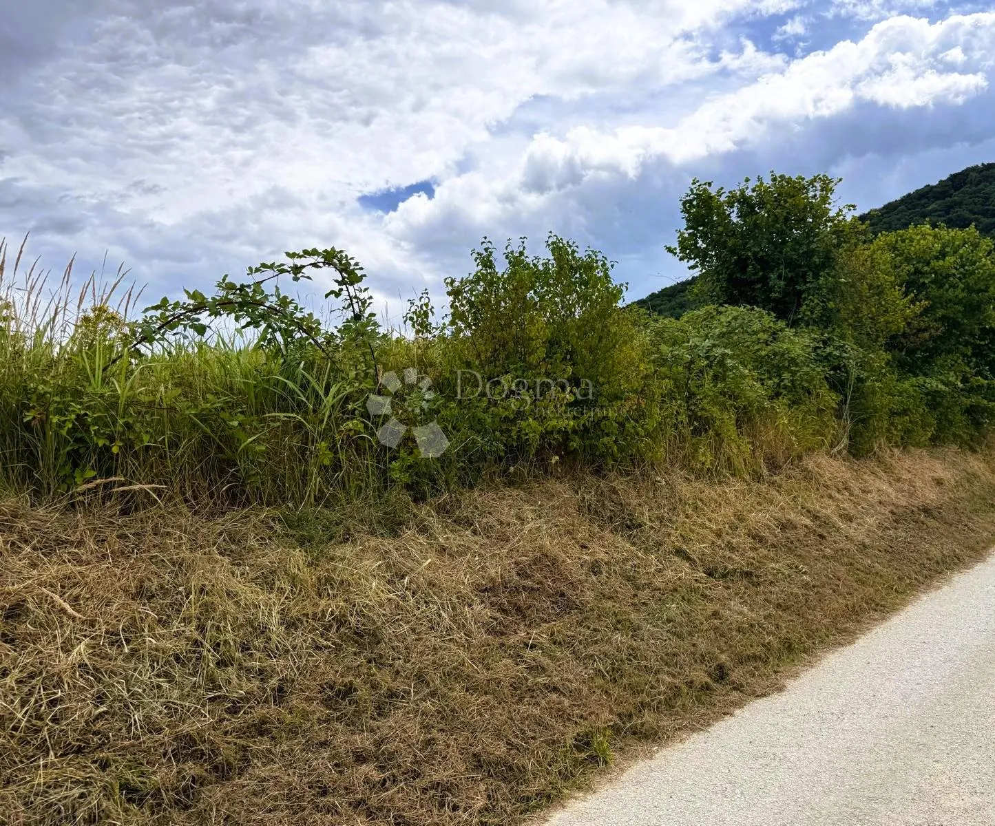 radovan - građevinsko zemljište 3115 m² - slika 1