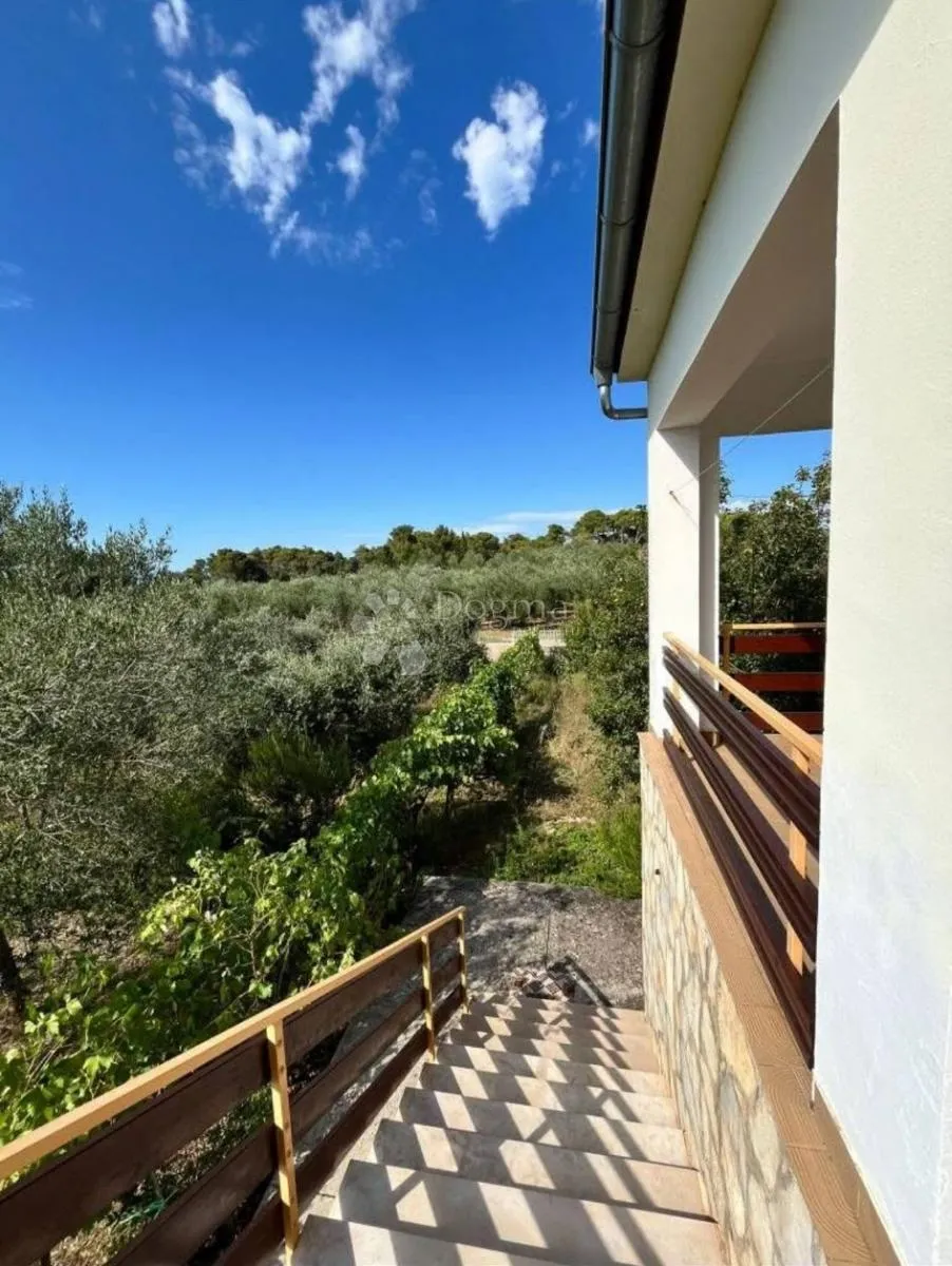 ugljan - kuća 144 m2 s velikom okućnicom (1336 m2) - slika 2
