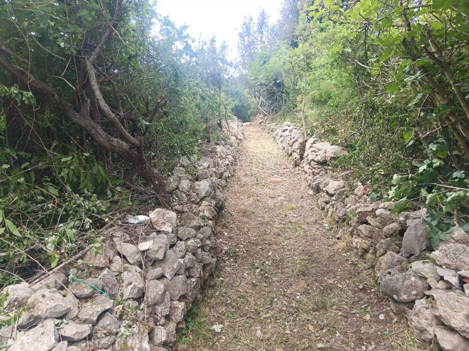 zaton,621 m2 - 200m od mora - slika 3