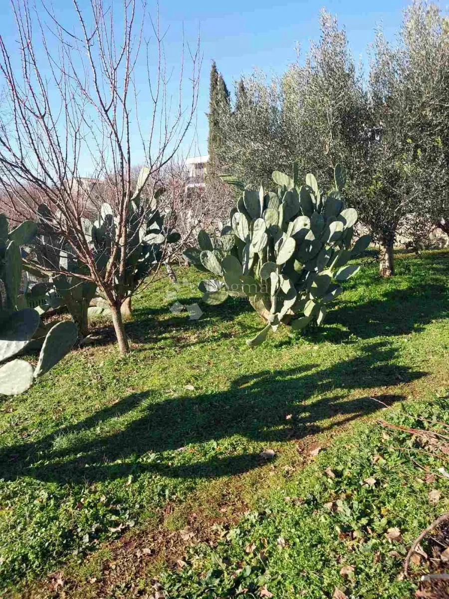 kuća sa građevinskim zemljištem - slika 8