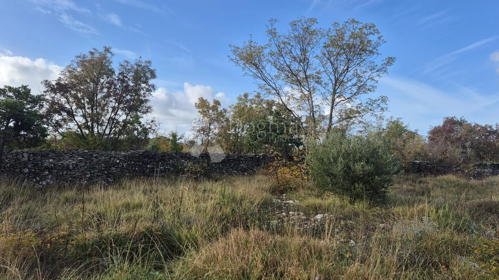 pašnjak ograđen suhozidom, površine 1705 m2 - slika 12