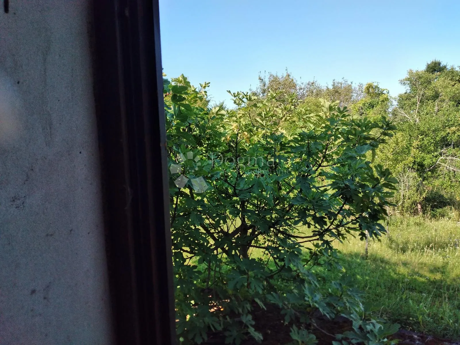 2 odlične kuće, 7ha, mali raj - slika 13