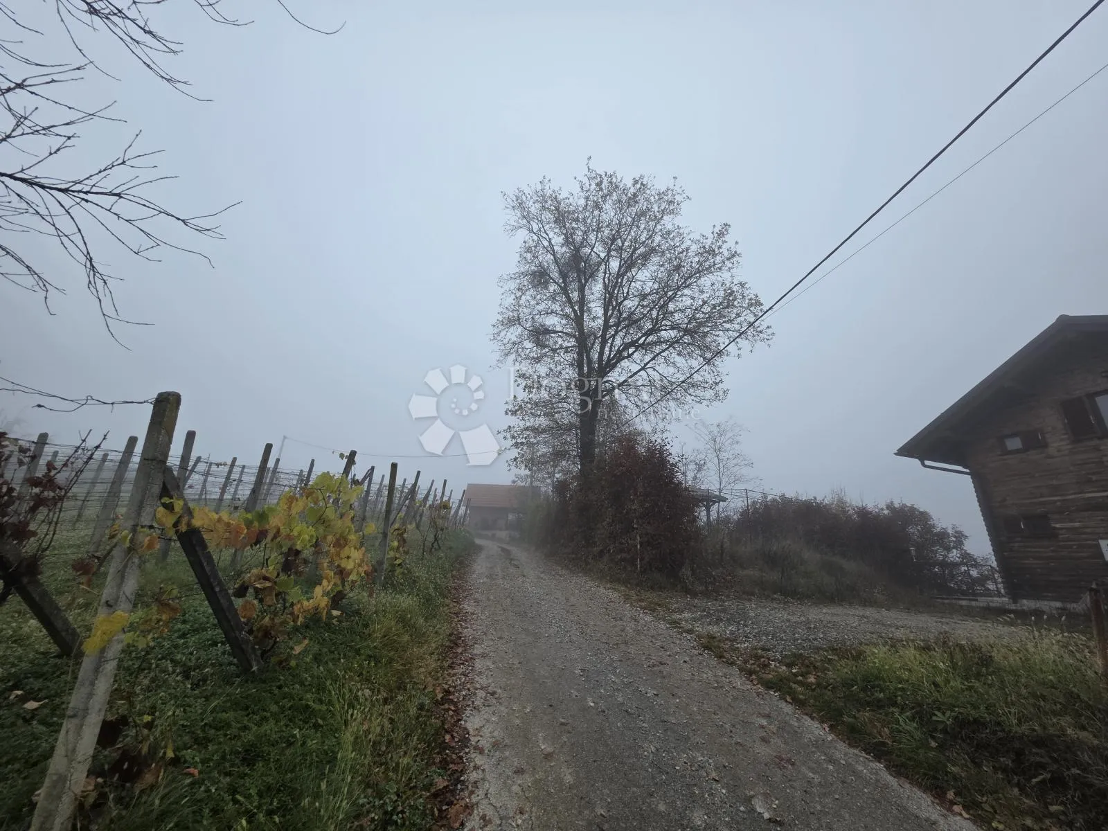 prirodna oaza mira: 435m² zemljišta na brijegu iznad jakovlja - slika 4