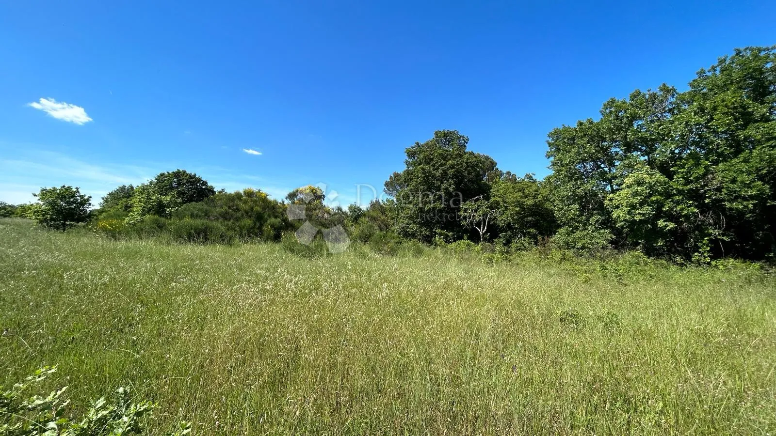 šuma u marčani: 17544 m² s pristupnim putem - slika 3