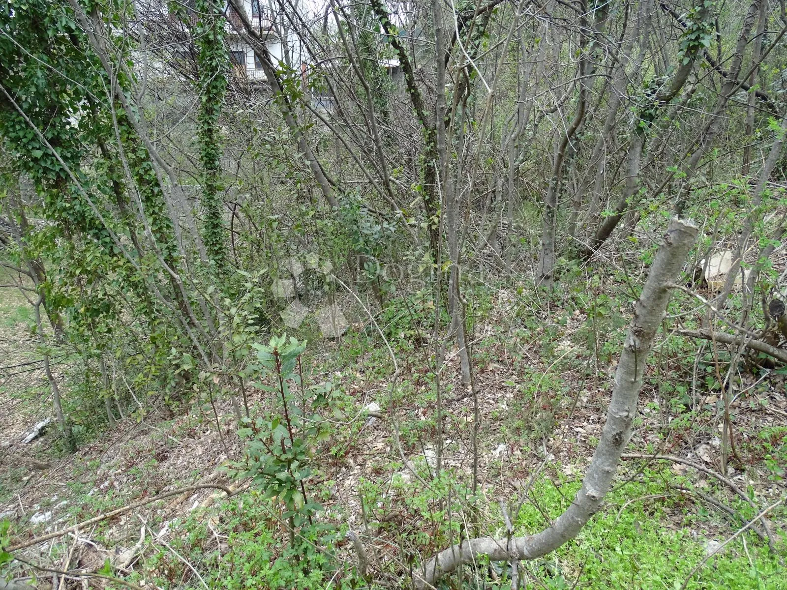 drenova - građevinski teren - slika 4