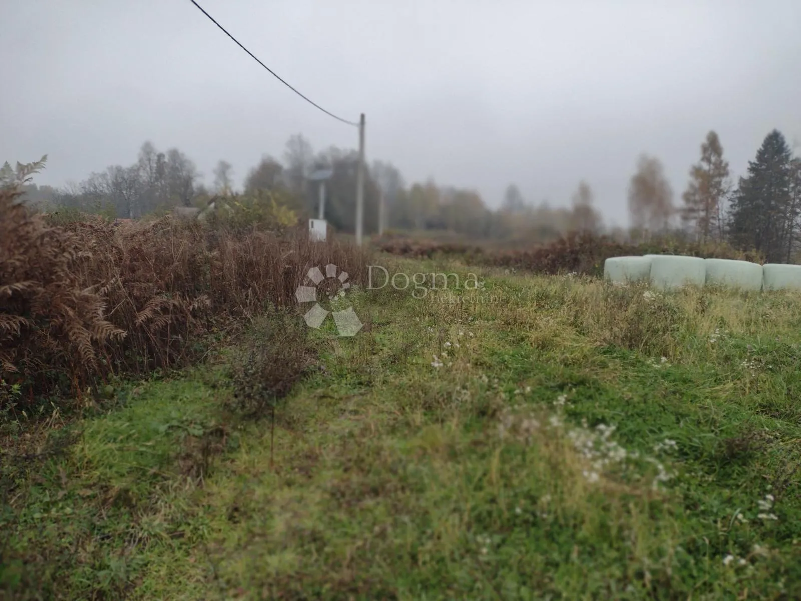kuća, livade, gosp. zgrade, šuma, potočić... - slika 18