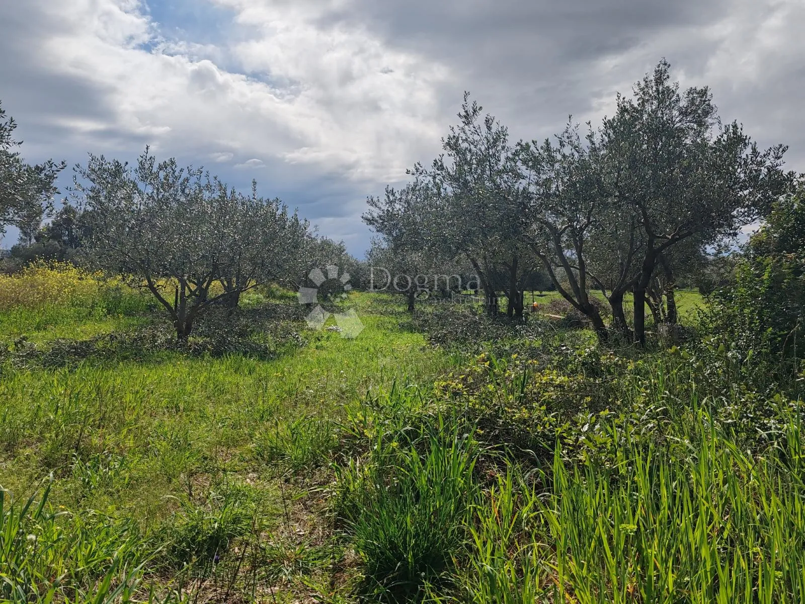 građevinsko zemljište sukošan 1062 m2 - slika 4