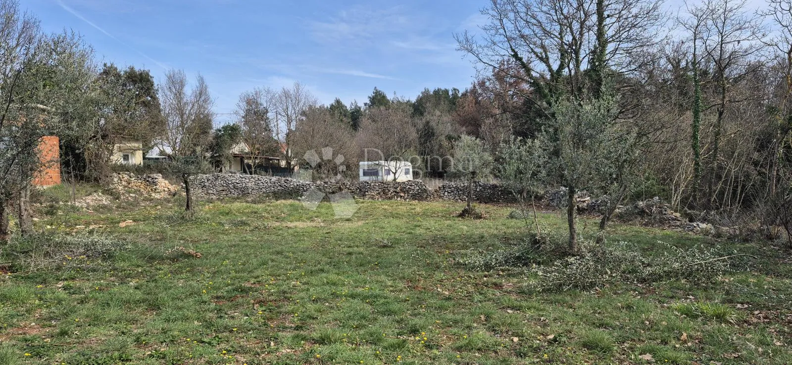 građevinsko zemljište na samo 1,5 km od mora sa 6 stoljetnih maslinama - slika 11