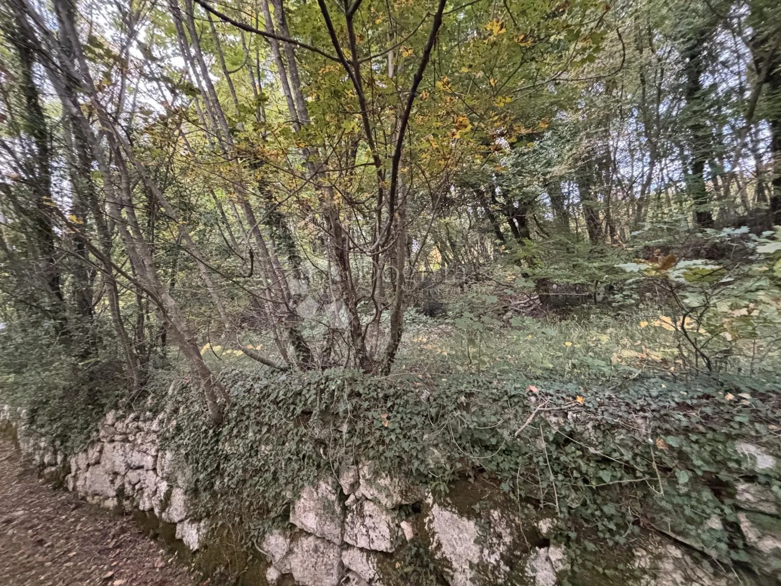 zemljište za obiteljsku kuću, veprinac, 1200 m² s pogledom - slika 3