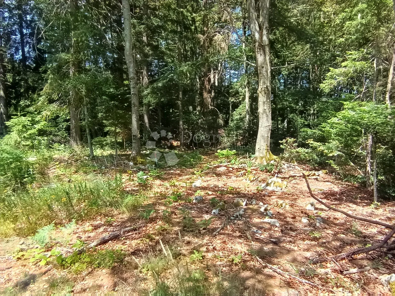 kuća s dvorištem + građ. parcela 700m2 - slika 3