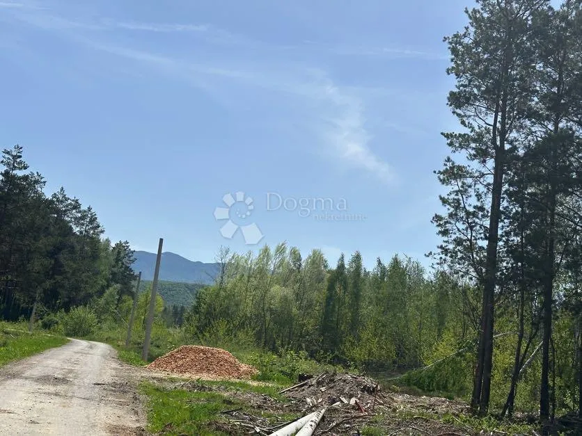 zemljište 10000m2 moguća parcelacija priroda pogled !!! - slika 9