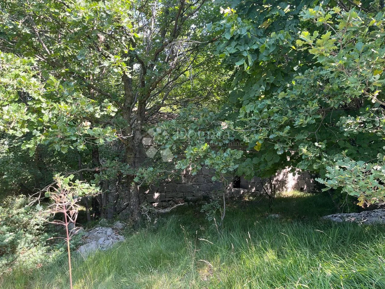 starina sa potencijalom za odličan prihod - slika 7