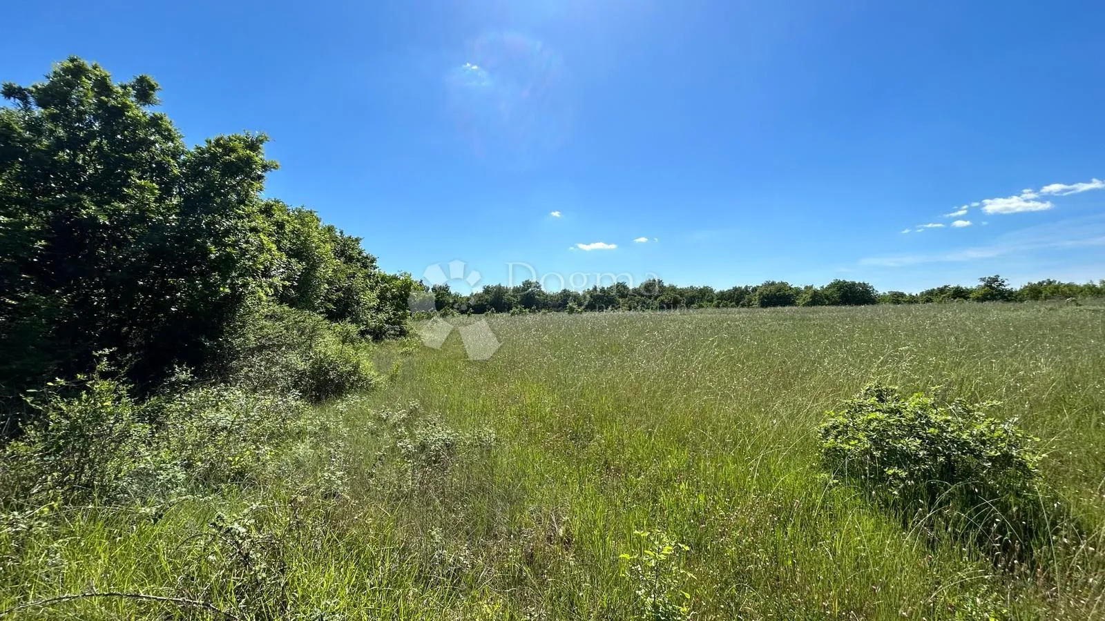 šuma u marčani: 17544 m² s pristupnim putem - slika 7