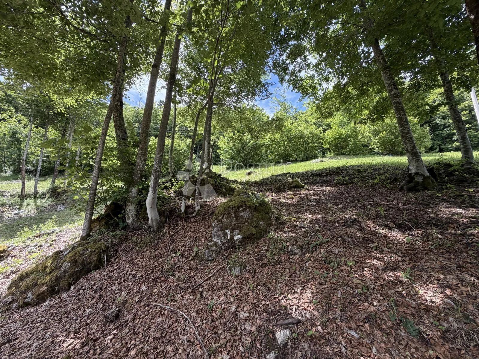 gorski kotar stari laz, građevinsko zemljište 3200m2 - slika 6
