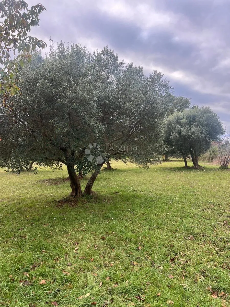 kuća i prostrano zemljište 11.090 m2 - slika 9