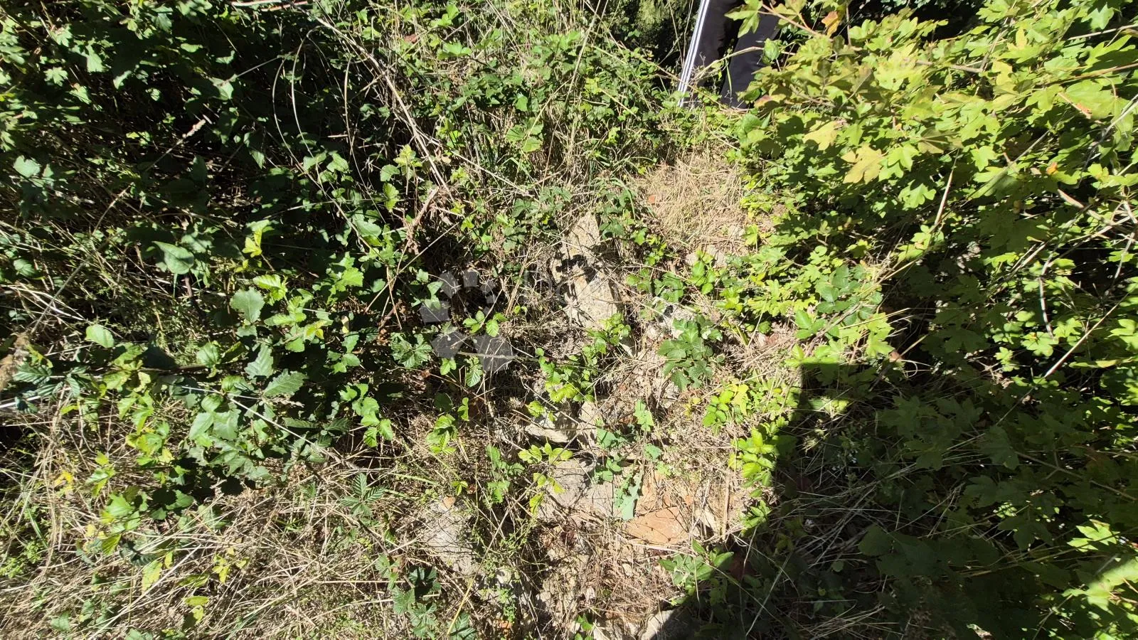 prodaje se poljoprivredno zemljište površine 1636 m2 u cukrićima - slika 10