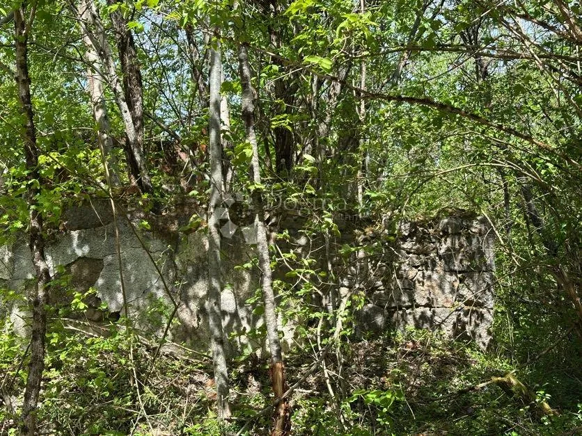 građevinsko zemljište u divoselskoj šumi s putem - slika 22