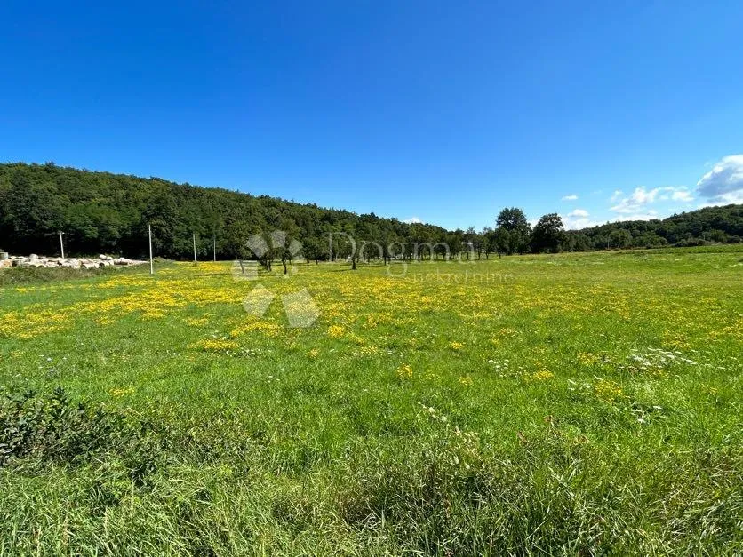 Građevinsko zemljište pod šumom sunčana strana Mušaluk - Mušaluk, Gospić