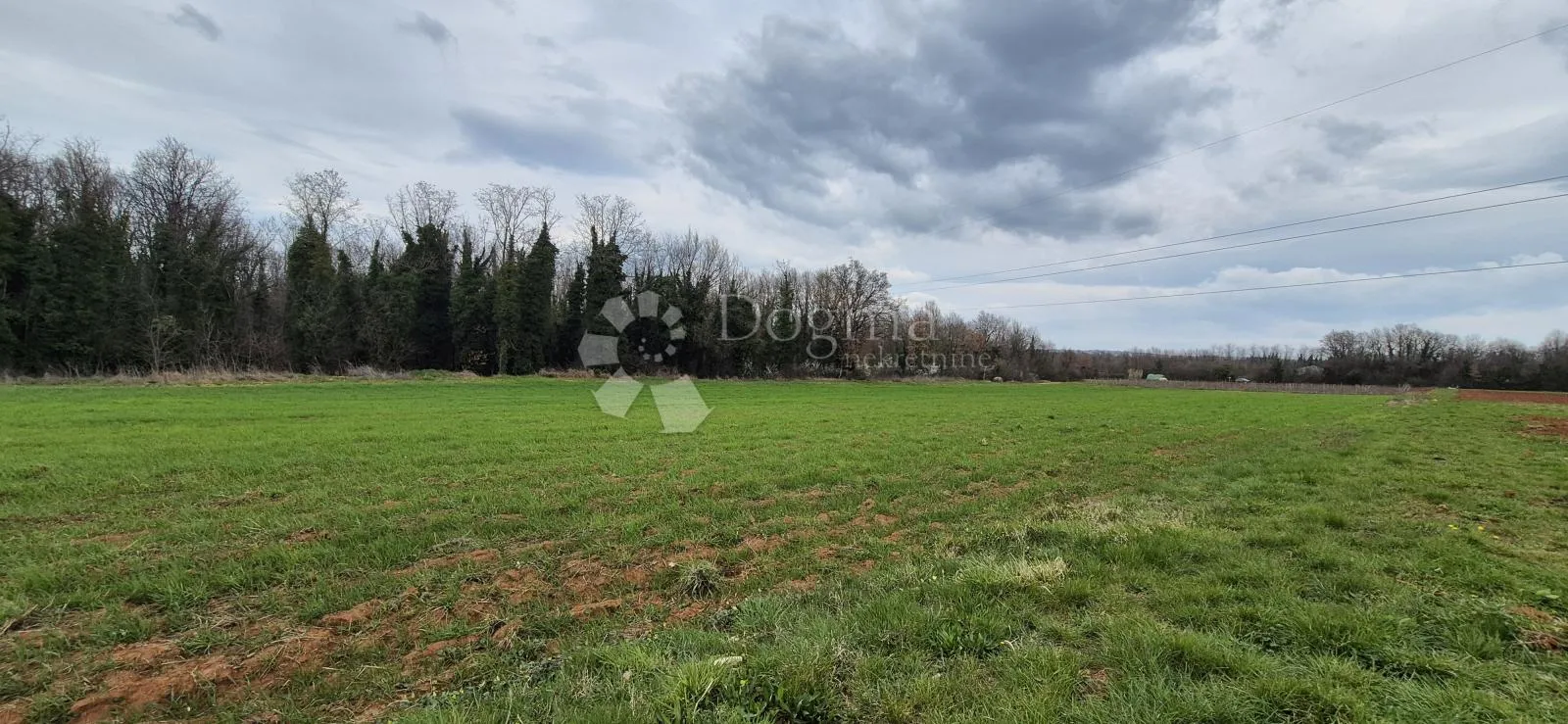 zemljište sa 60 maslina površine 10200 m2 - slika 15