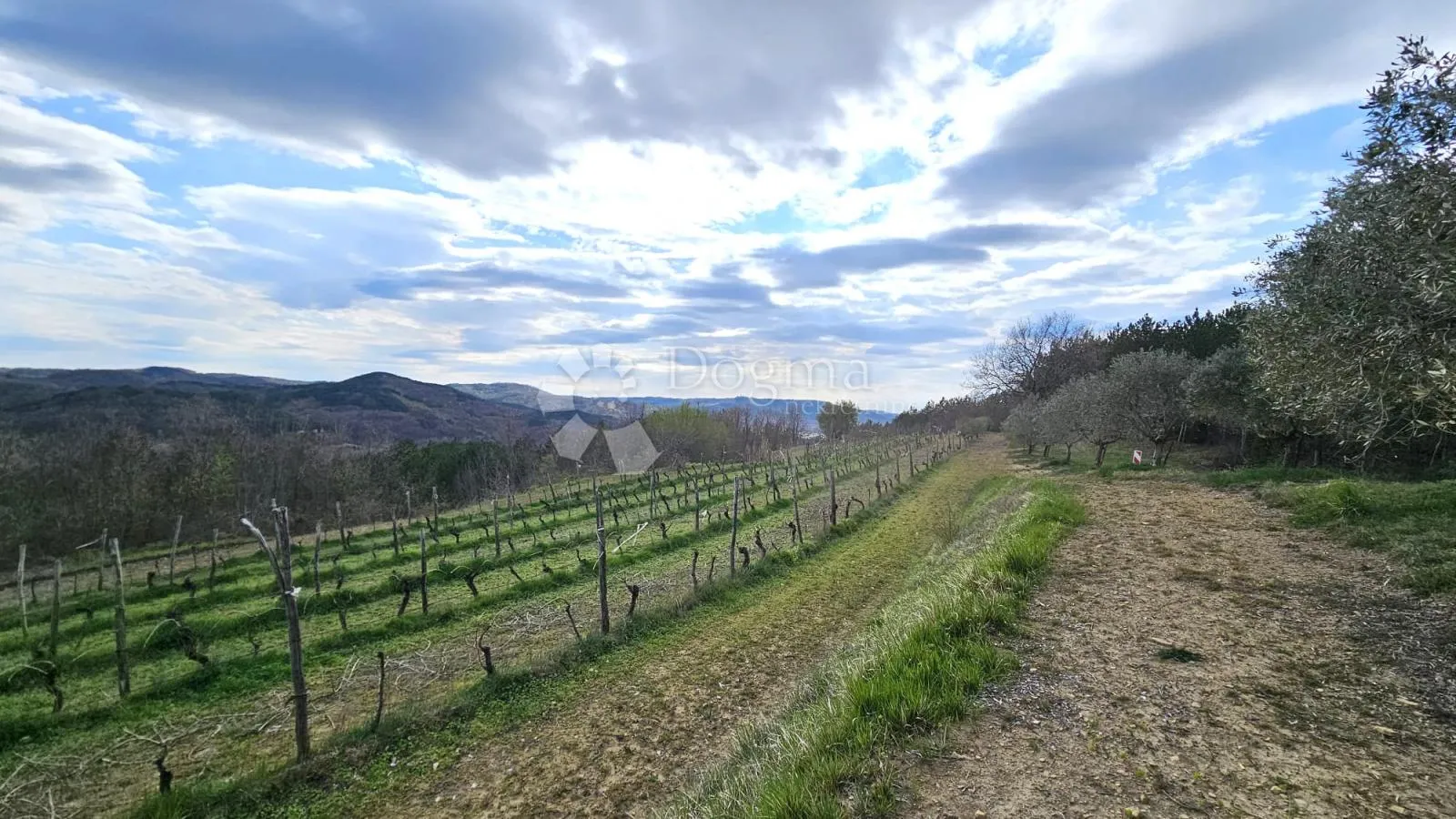 vinograd u oloici pazina - pogled na učku i more - slika 10