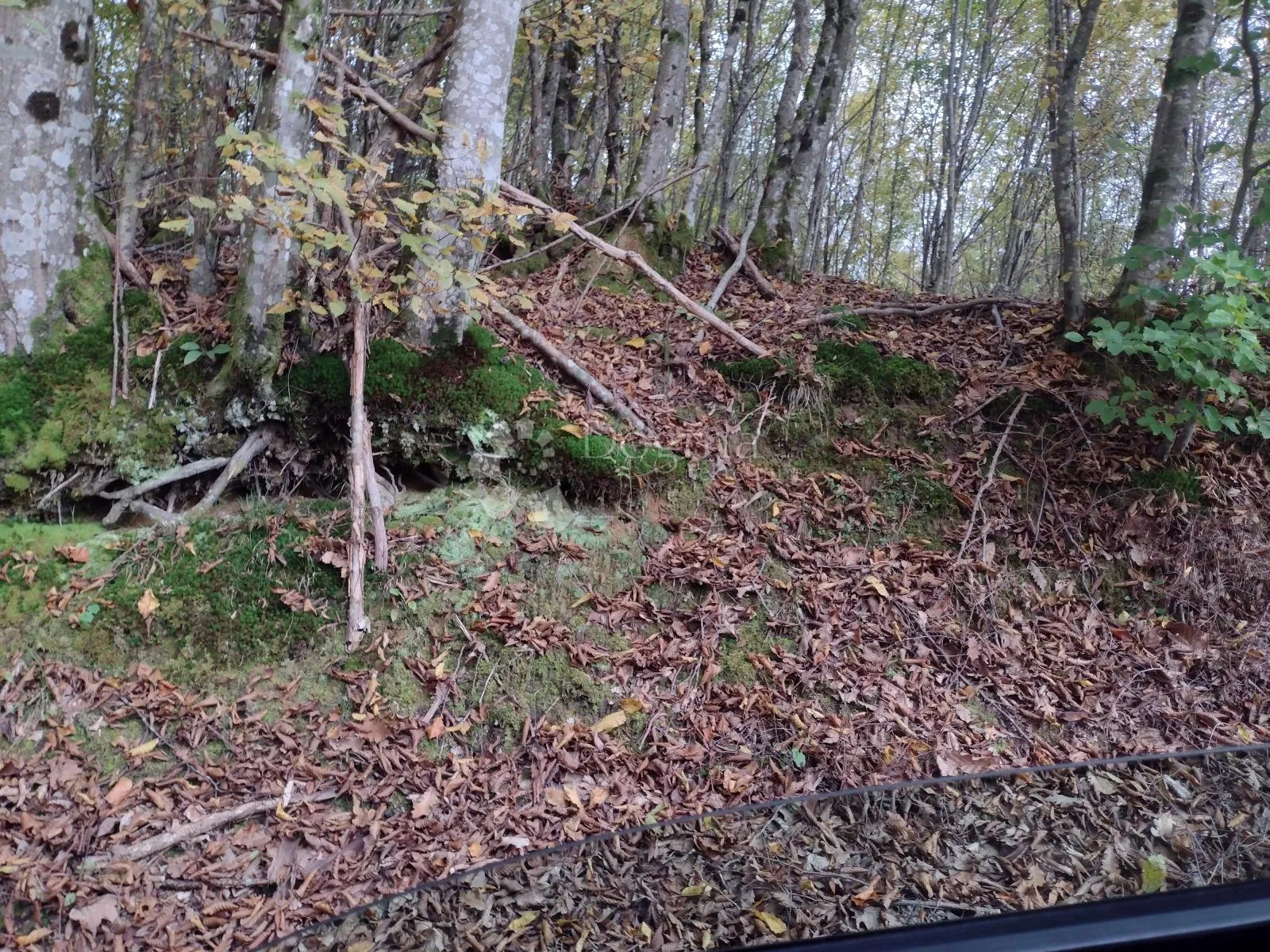 16 ha netaknute prirode - slika 11