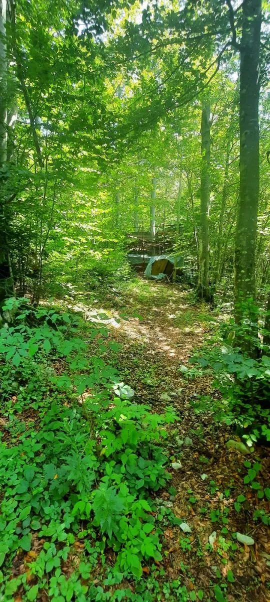 zlobin, gorski raj za robinzonski turizam - slika 6