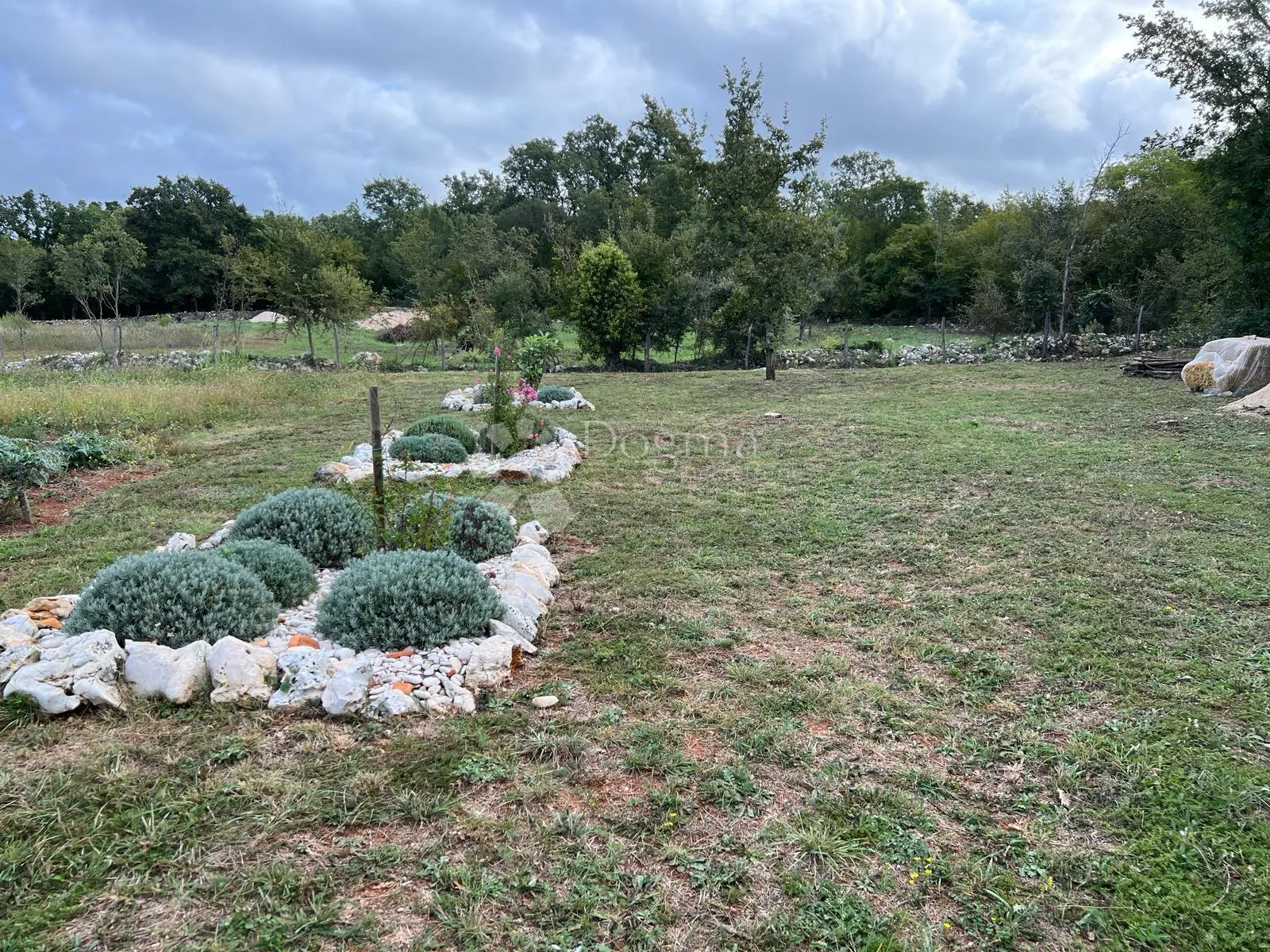 rovinj, prekrasno uređeno zemljište, 6.150m2 - slika 6