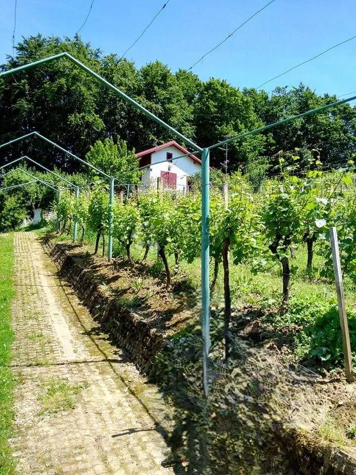 idealna vikendica za odmor i druženja - slika 2