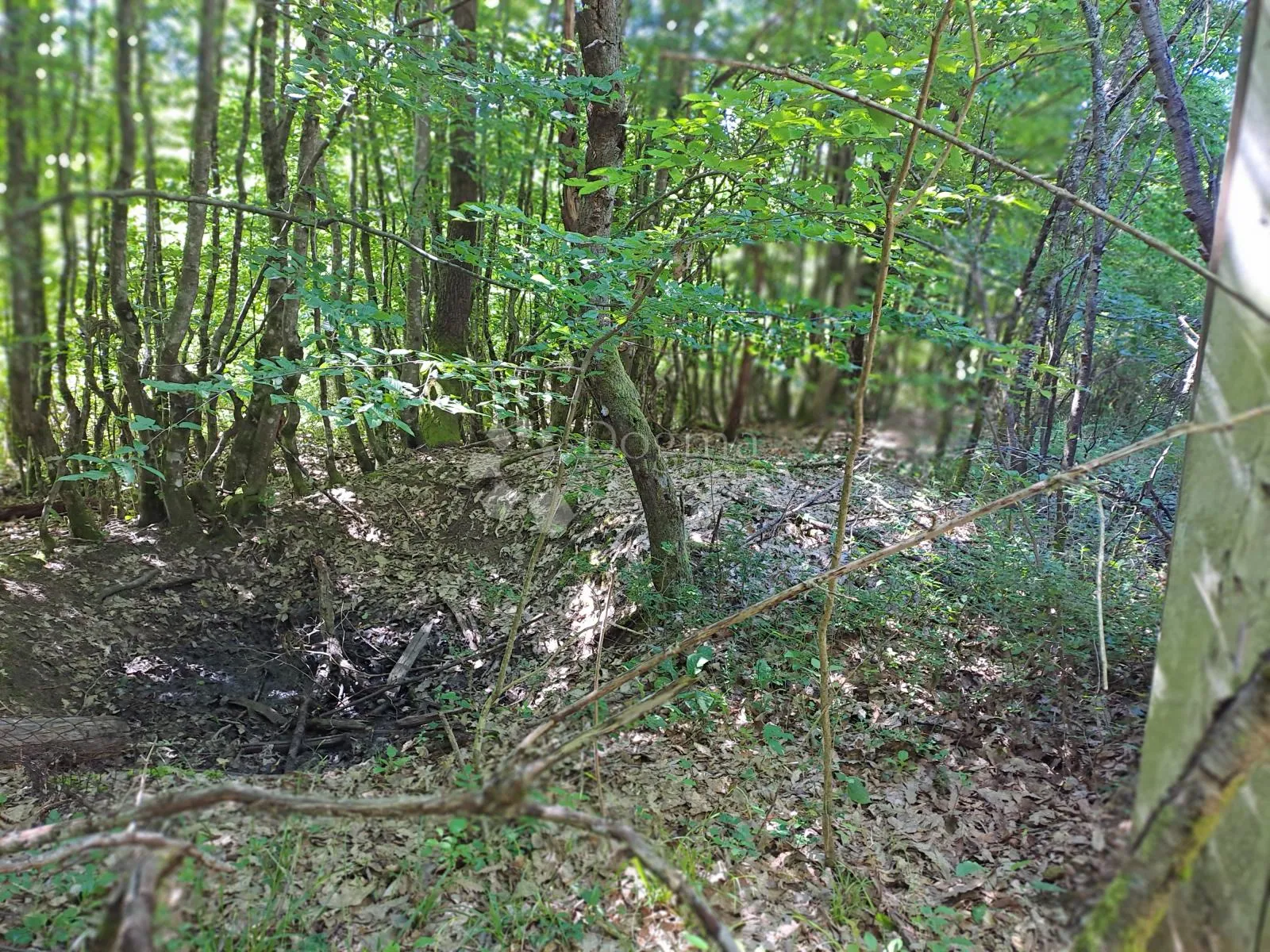 šumska farma 40 km od zg - slika 11