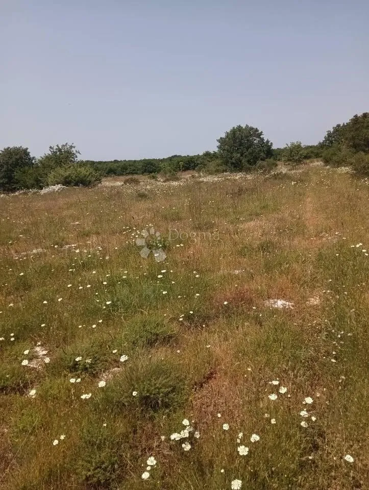 poljoprivredno zemljište 47760m2 - krmed - slika 6