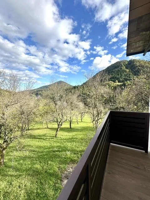ravna gora, kuća s 4.500m2 okućnice - slika 26
