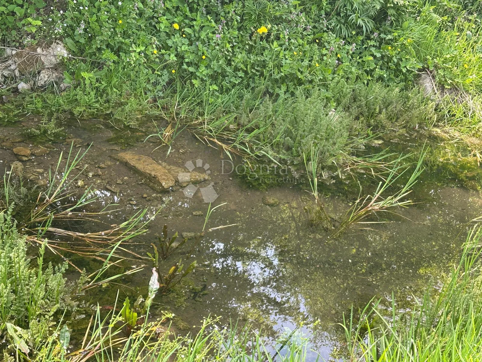 poljoprivredno zemljište podno velebita brušane - slika 5