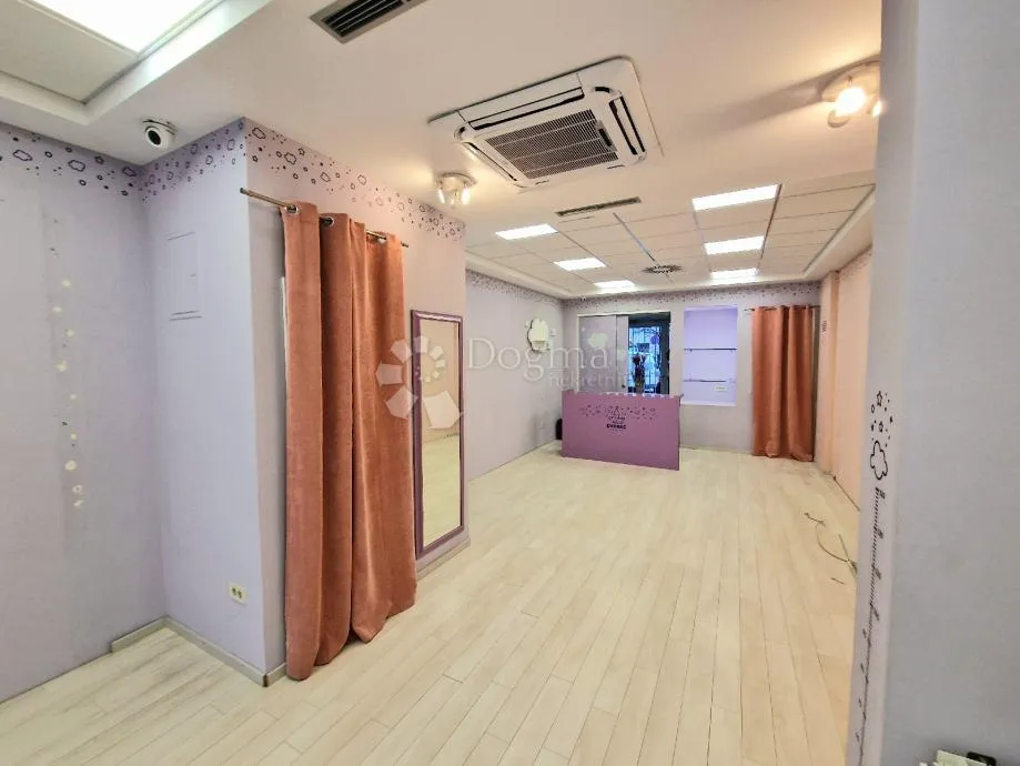 poslovni prostor 167 m² – špansko, zakupnik, prilika - slika 2