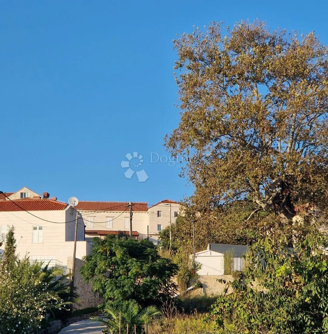 kuća s velikim potencijalom za život ili turizam – orašac - slika 3