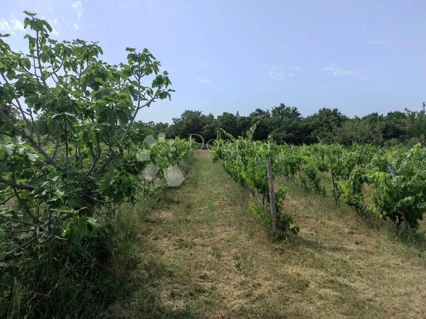 prekrasna stancija u okolici pule, s 10000 m² urbaniziranog zemljišta - slika 60