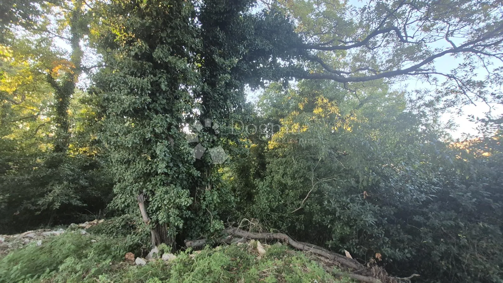 građevinsko zemljište površine 1968 m2, 2 km od mora, 80 eur/m2 - slika 9