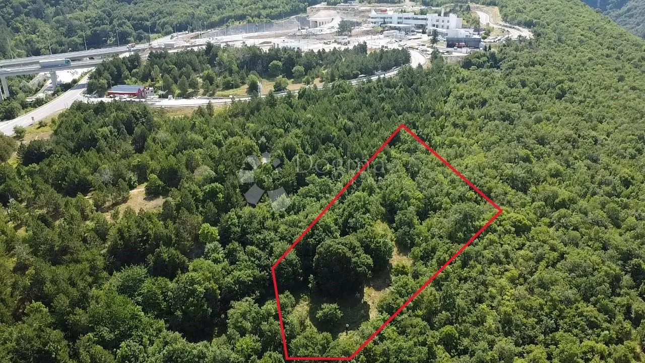 starina sa potencijalom za odličan prihod - slika 17