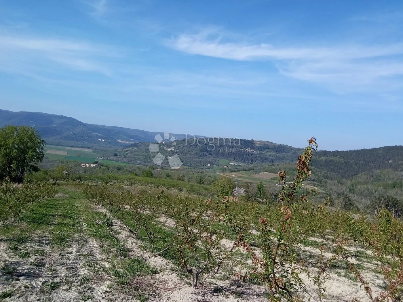 kompleks zemljišta s otvorenim pogledom na motovun - slika 4