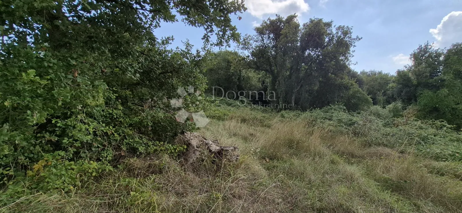 prodaje se poljoprivredno zemljište - kavran 1173 m2 - slika 4