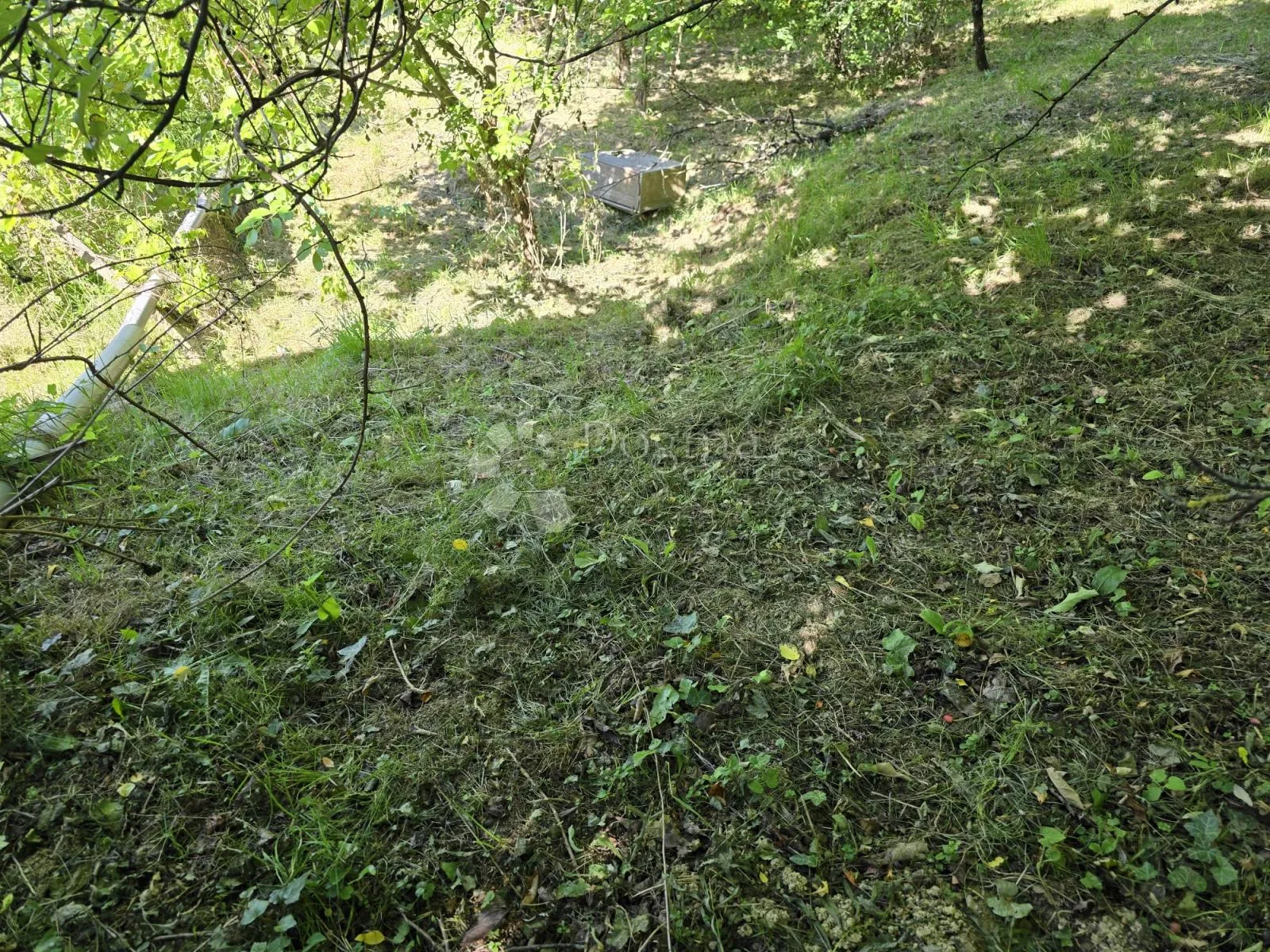 vaš komad raja u haliću - slika 7