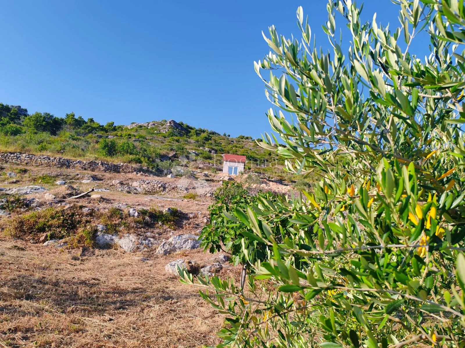 tribunj - vodice zemljište s otvorenim pogledom na more i kućicom za odmor - slika 7