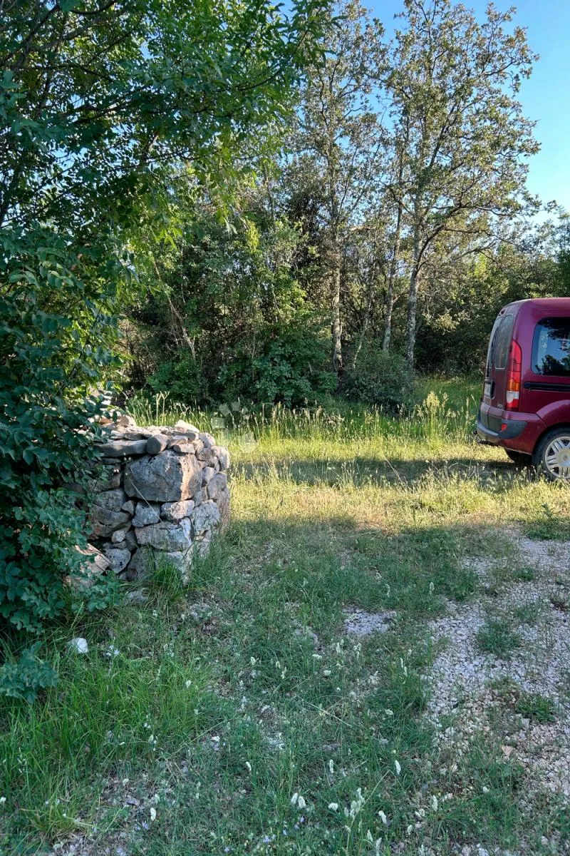 rovinj – perfektan maslinik 5 km od rovinja - slika 2