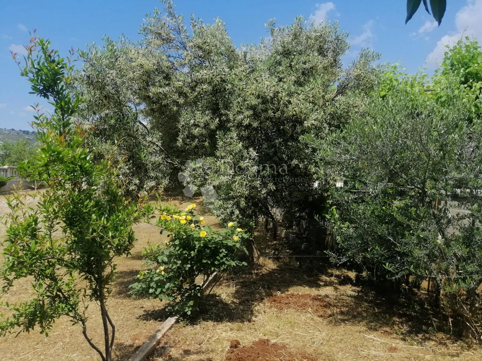 tribunj - kuća s 9 apartmana + građevinska parcela 418 m2 - slika 17