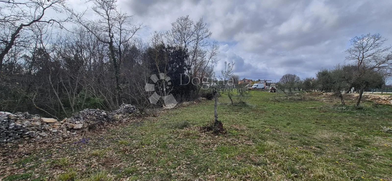 građevinsko zemljište na samo 1,5 km od mora sa 6 stoljetnih maslinama - slika 4