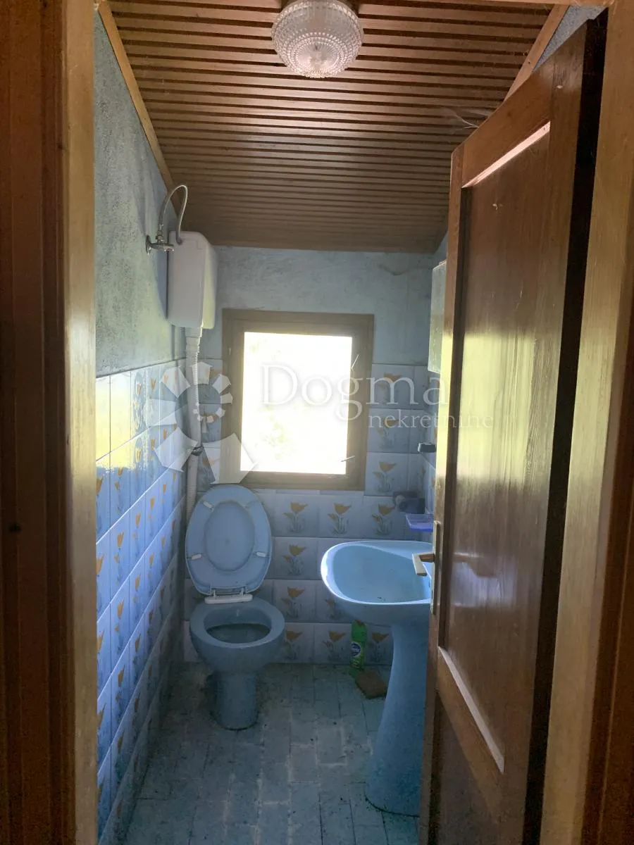 gerovo hrib - slika 18