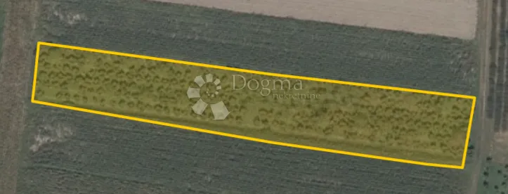 poljoprivredno zemljište s nasadom lješnjaka i oraha - 3018 m² - slika 7